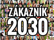 web-banner-z2030-blank